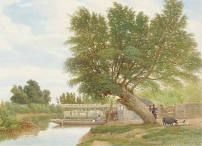 A lazy day at the water's edge