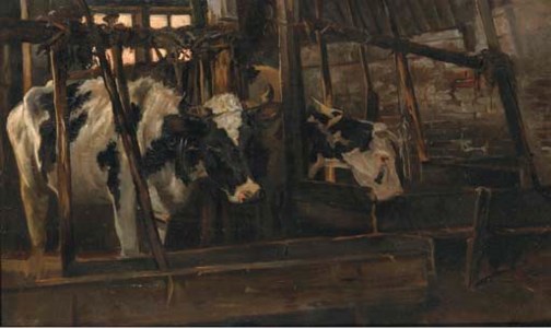 Koestal: cows in a stable