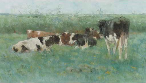 Cows in a meadow
