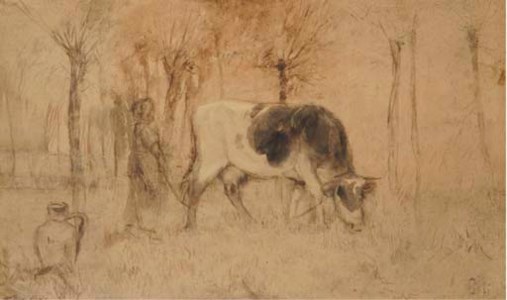 A grazing cow
