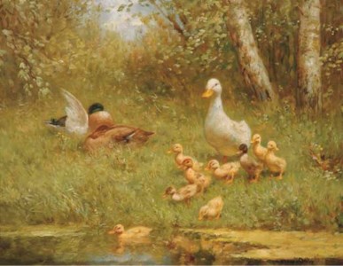 Ducks by the waterside
