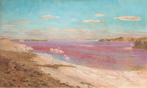 The flamingo lake