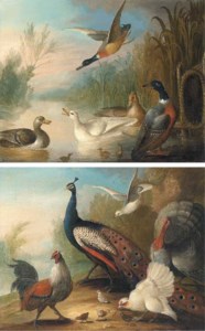 Ducks on a river; and Peacock, Turkey and Chickens on a riverbank