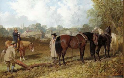 Morning, preparing to plough