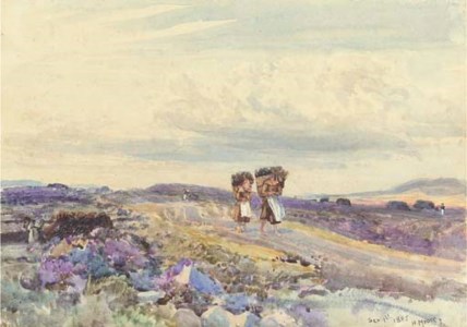 Among the Peat, Skye