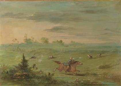 Ostrich Chase, Buenos Aires