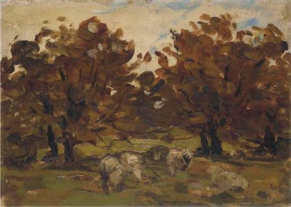 Sheep under trees