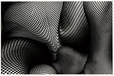 Selected Images from How to Create a Beautiful Picture (2 Photographs)