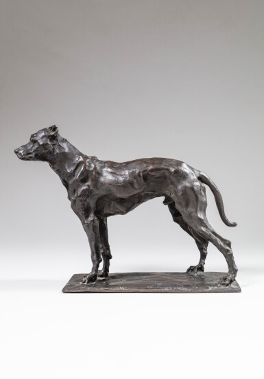 Chien de berger