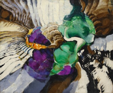 František Kupka, Complexe