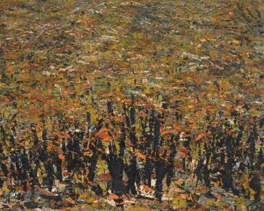 Trees and Shrubs