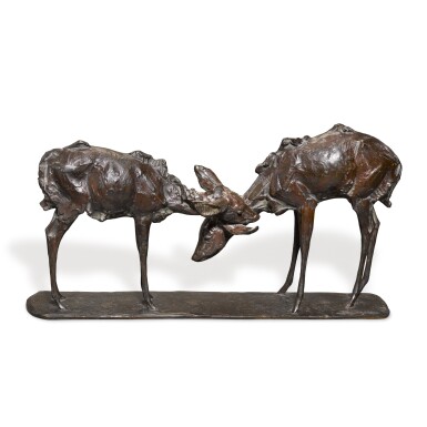Deux antilopes goudou ou deux amis