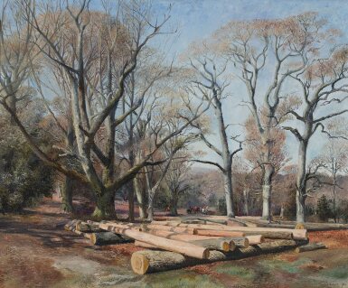 The New Forest