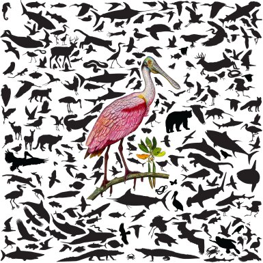 Florida Composition No. 2 