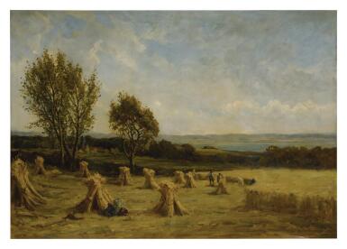 Harvest Time Fifeshire