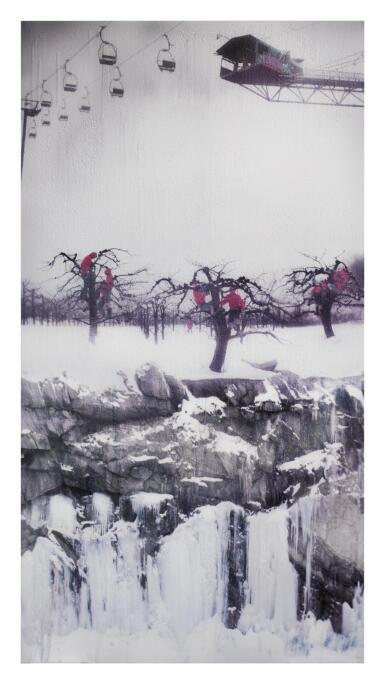 Orchard (from Sheltered)