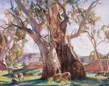 The Two Red Gums