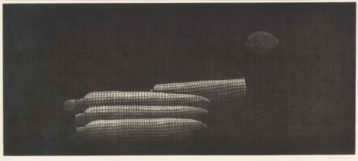 Corns (M. Gall. 70)