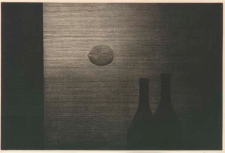 Bottles and Walnut (M. Gall. 72)