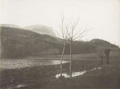 Two Trees in a Landscape at Crémieu in Dauphiné (near Lyon), 1880- 1890