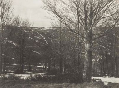 Trees and Landscape at 'Le Bessat' (near Saint-Étienne), 1880-1890