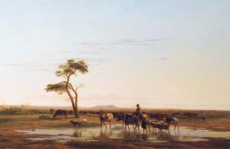 Watering the cattle in a vast landscape