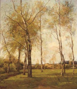 Schaapskooi - October: birch trees by the dunes in autumn