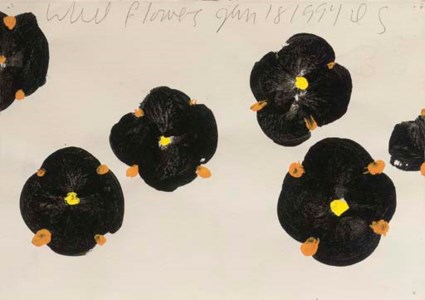 Wall Flowers