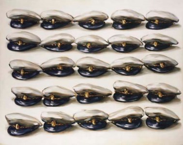 Sailor's caps