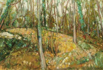 Le sous-bois