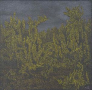 Farnlandschaft
