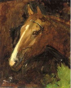 Study of a horse