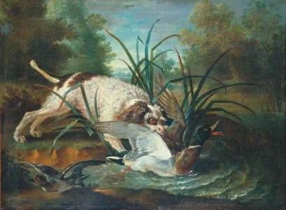A spaniel retrieving a duck from a pond
