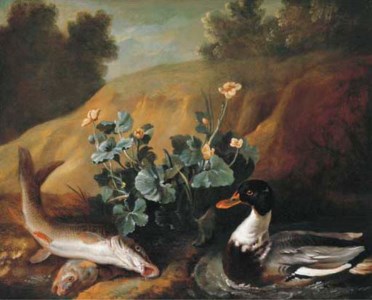 A duck with two barbels at the edge of a pond