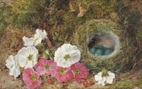 Pink and white pansies and a bird's nest with eggs on a mossy bank; and Plums, raspberries and crab apples on a mossy bank