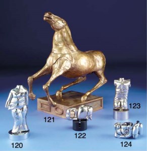 Il cavallo