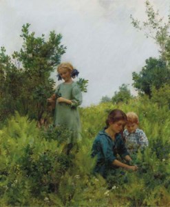 Blueberries and Ferns