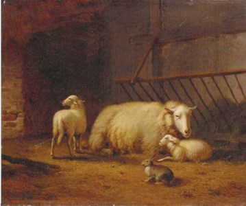 Sheeps and a Rabbit in a Stable