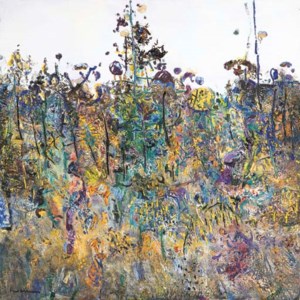 St Andrews (The Botanist's Garden)