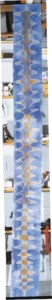 Column