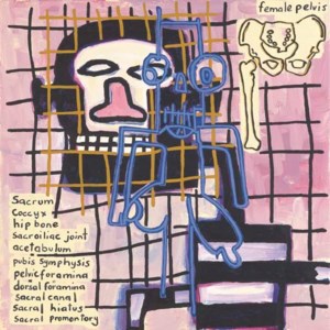 Notes to Basquiat: Female Pelvis