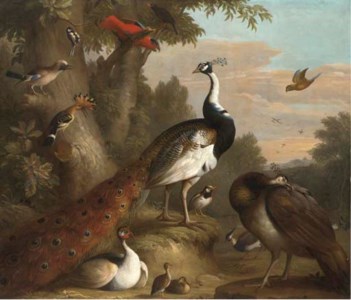 A wooded landscape with peacocks and other birds in the foreground