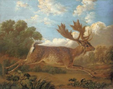 A fallow deer leaping across a field in a landscape