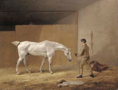 A grey hunter and stableboy