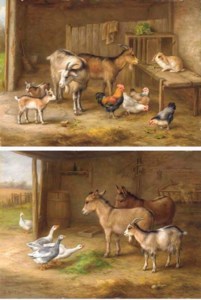 Goats, a rabbit and chickens in a barn; and Donkeys and geese feeding
