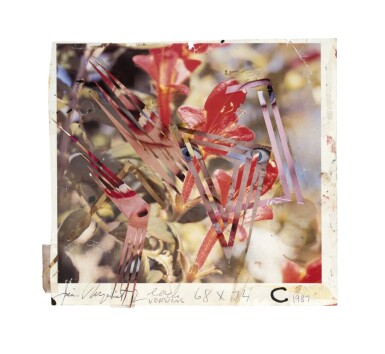 Source for Eye and Flower and Untitled