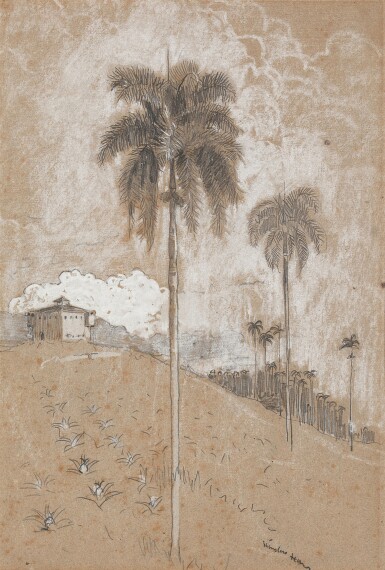 Tropical Landscape