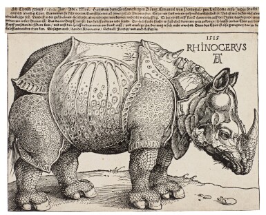 The Rhinoceros (B. 336; M., Holl. 273)