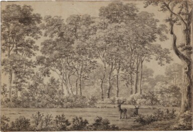 Woodland scene with two stags