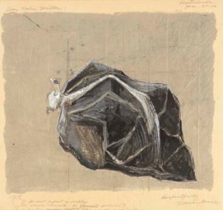 Letter to Dorothy Miller